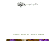 Tablet Screenshot of marcelovallin.com.br
